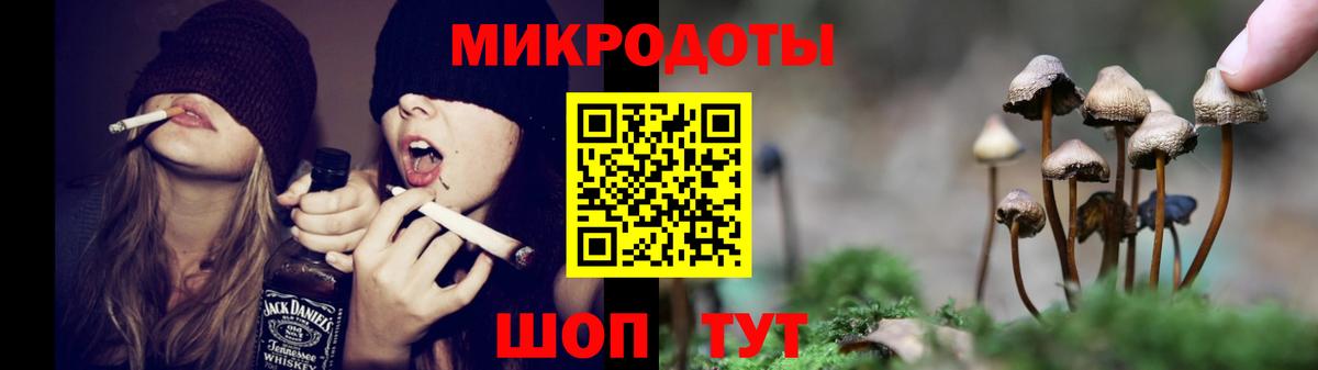 Галлюциногенные грибы GOLDEN TEACHER Сальск